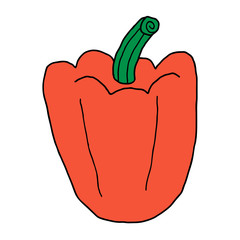 Cartoon doodle linear pepper isolated on white background. Vector illustration. 