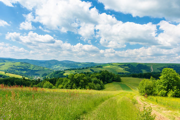 Fototapeta na wymiar path through beautiful summer countryside. grassy meadow among the forest. trees along the road. wonderful nature scenery of Carpathian