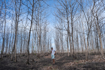 man walking in the wood with leafless tree