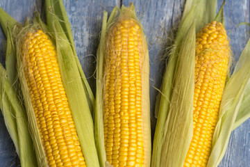 Corn on a rustic background