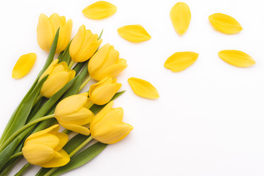 A bouquet of fresh, beautiful tulips arranged on white isolated background. Composition with flowers and yellow petals of a tulip. Romantic frame with free, copy space.