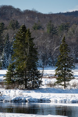 winter mountain landscape with fir trees and snow