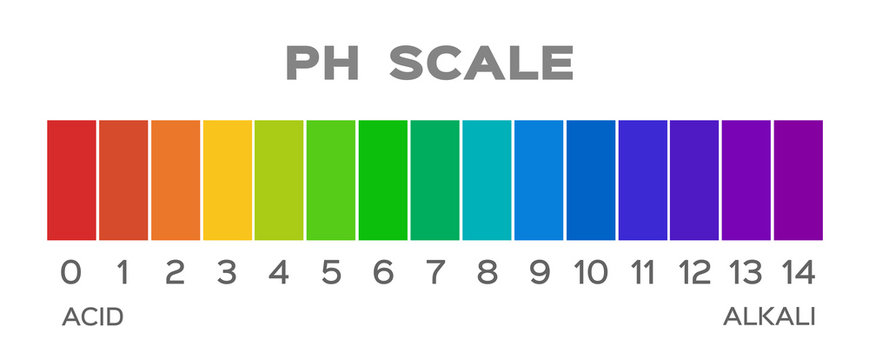 279 Ph Scale Illustrations & Clip Art - iStock, Ph Level Chart, Ph Scaler  - iStock