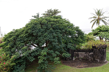 Ruins of the Fort of Saint-Pierre destroyed by Mount-Pelee eruption in 1902 - Martinique, FWI
