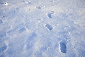 Footprints in the snow in a country terrain