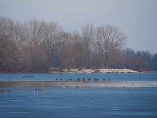 Lac gelé