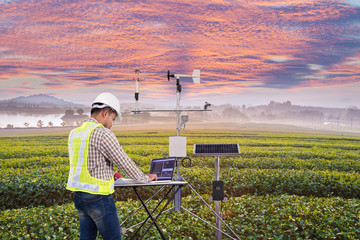 Agronomist using tablet computer collect data with meteorological instrument to measure the wind speed, temperature and humidity and solar cell system in tea agricultural field, Smart farm concept