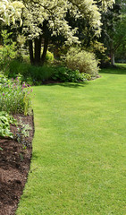A perfect English country garden