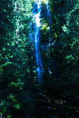 Hidden Waterfall by Skip Weeks