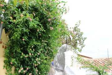 Greece