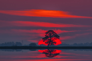 Fototapeta na wymiar A BEAUTIFUL SUNRISE - Tree contour against the background of the morning sun