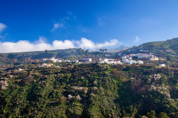 Gran Canaria, January