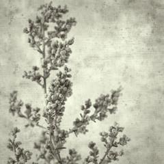 textured old paper background