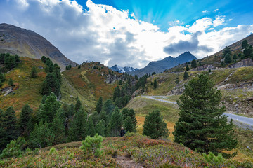 Mountains, peaks, lake, everlasting ice and trees landscape. Kaunertaler Gletscher natural environment. Hiking in the alps, Kaunertal, Tirol, Austria, Europe