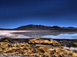 Fototapeta na wymiar Laguna Colorada - Desert du sud lipez