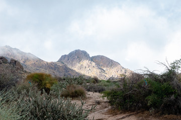 McDowell Mountain after a storm