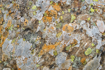 Stone texture, granite surface. Colored rock pattern background