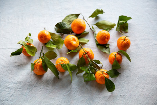 Satsuma Premium Stock Images Templates And 3d Assets Adobe Stock