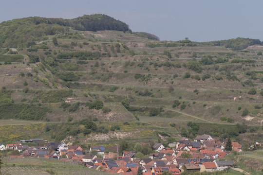 Weinberge im Kaiserstuhl