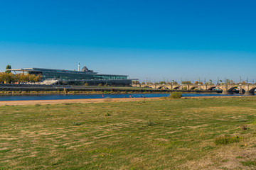 Wiesen am Elbufer in Dresden