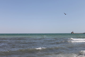 kite surfing in the sea