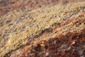 beautiful textured stone surface