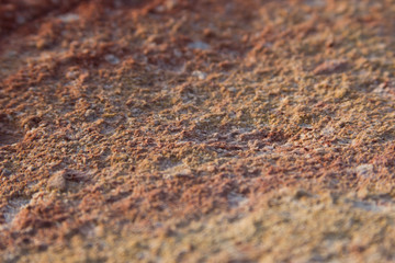 beautiful textured stone surface