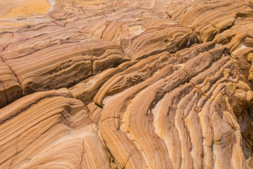 Detail - Faltiges Kalkgestein - Küste des Bouddi Nationalpark
