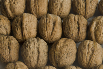 Walnuts with shells. Background of nuts.