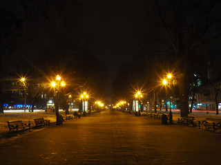 Fototapeta na wymiar Evening winter park on Svobody avenue in Lviv 
