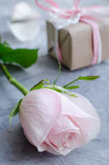Fototapeta na wymiar Pink pastel rose with gift box