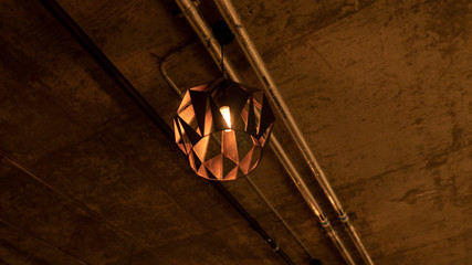 Ceiling Light