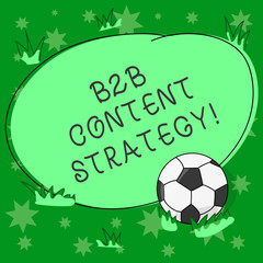 Writing note showing B2B Content Strategy. Business photo showcasing Distributing curated, relevant and valuable content Soccer Ball on the Grass and Blank Outlined Round Color Shape photo