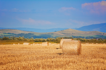 Haystacks on the Field