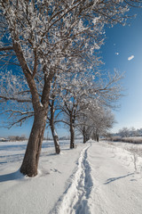 Rural winter landscape with footpath