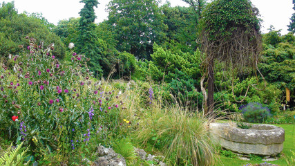 Plants and trees in the park