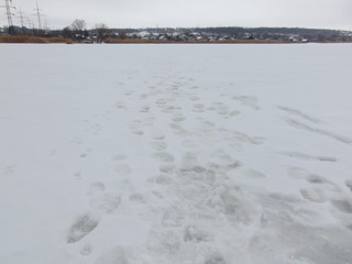 Fototapeta premium ice on lake