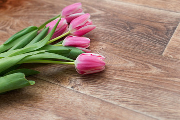  Pink tulips