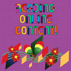 Text sign showing Reading Online Content. Conceptual photo Extracting meaning from a digital format text Colorful Instrument Maracas Handmade Flowers and Curved Musical Staff