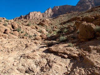 beautiful desert landscape of Todra Gorge in high atlas in morocco