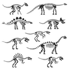 Fototapeta na wymiar Dinosaur skeletons set. Dinosaur bones silhouettes, isolated objects. Velociraptor, Diplodocus, Triceratops, Tyrannosaurus, ect. Vector illustration