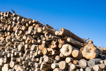 Wood, stacked and cut natural texture. Conifer stack pattern. Hardwood background.