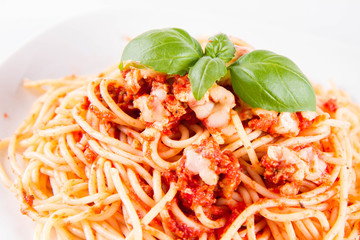 Spaghetti bolognese with melted parmesan cheese decorated with basil on a white background