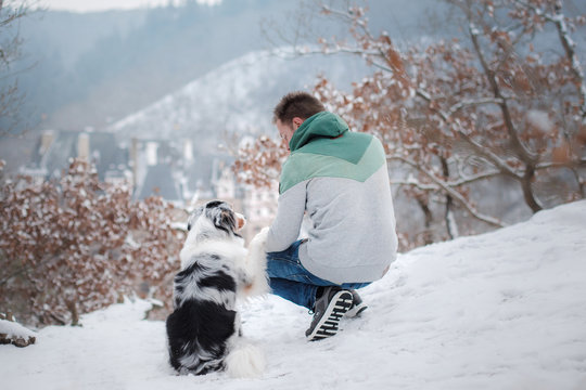 a young man and a dog at the castle. Walk with your pet. australian shepherd on nature in winter