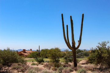 Homes on a golf course in North Scottsdale