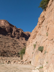 Obraz premium beautiful desert landscape of Todra Gorge in high atlas in morocco