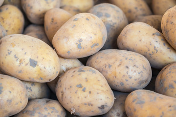 Fresh Organic Potato at the Farmer Market, Raw Food