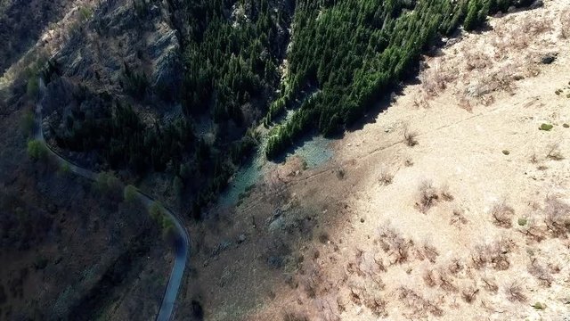 Volo verso cima della montagna. Versante con pini a fondo valle.