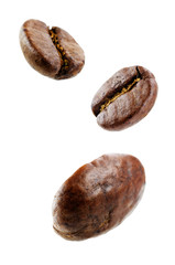 Coffee beans on a white background