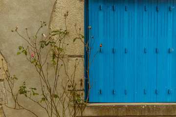 Blue window with plant
